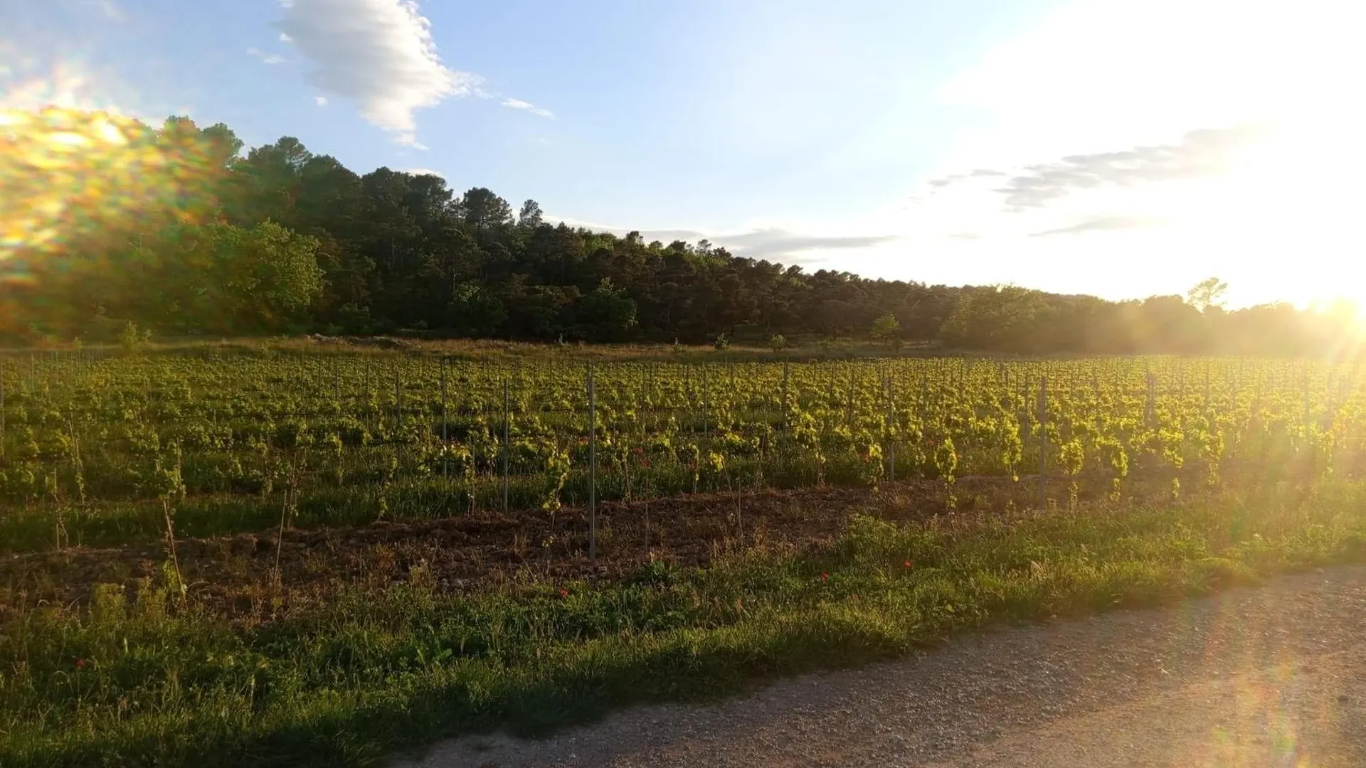Le Vallon Des Palombes Fox-Amphoux Holiday home
