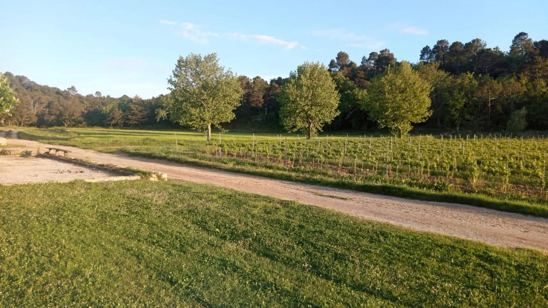 Le Vallon Des Palombes Fox-Amphoux Holiday home