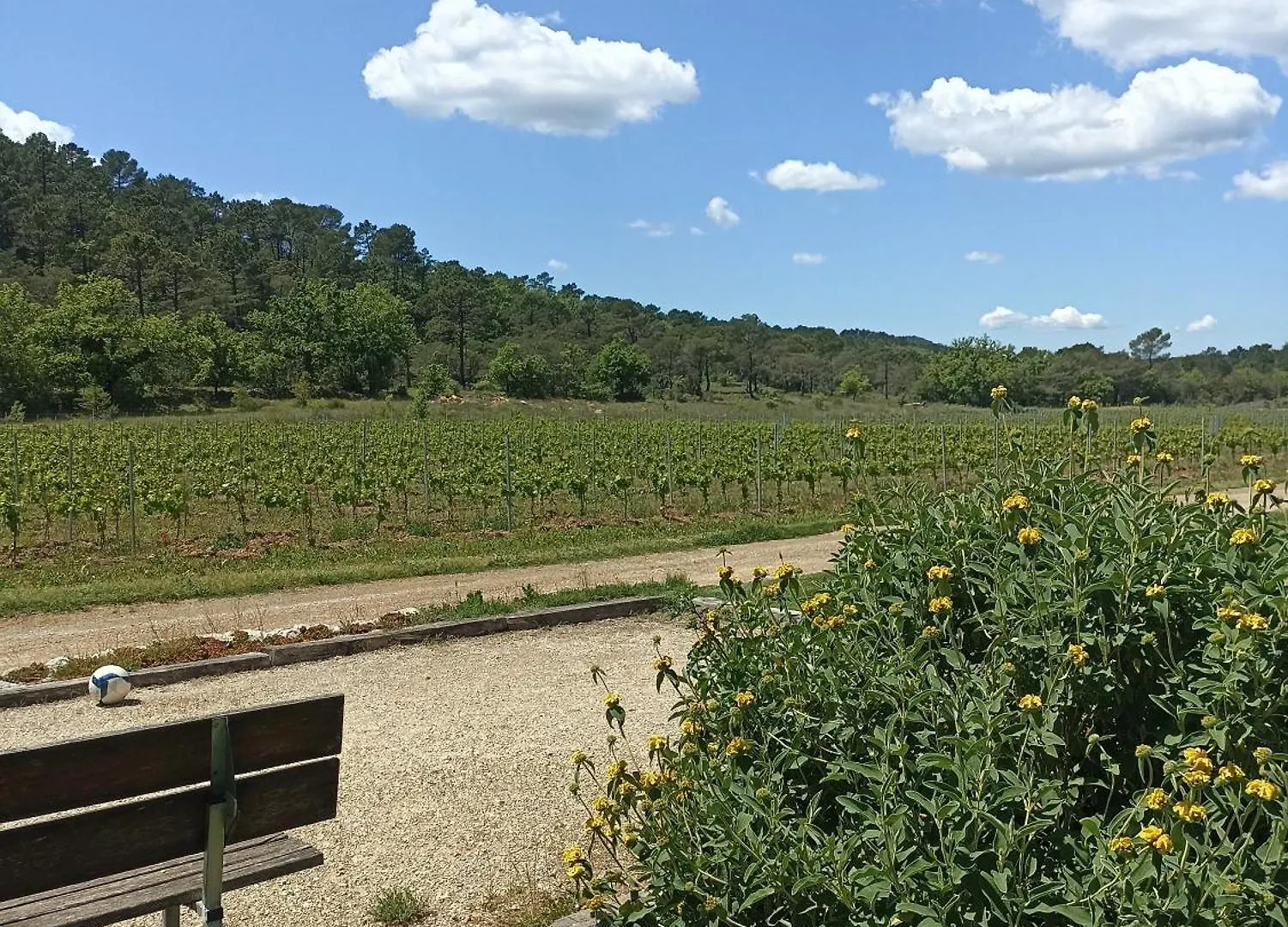 Le Vallon Des Palombes Fox-Amphoux 0*,